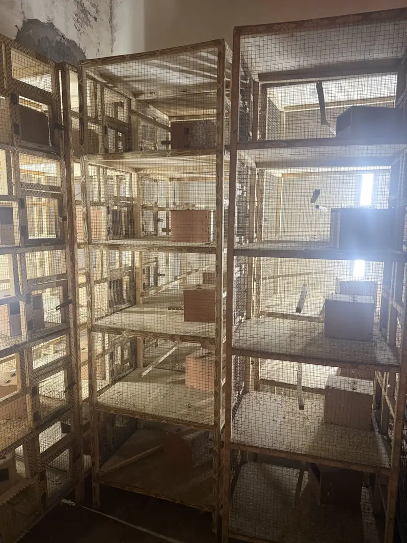 Wooden 5 Portion Bird Breeding Cage With Box - Lahore — photo 2