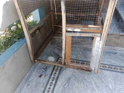 Cage for hen parrots etc wooden