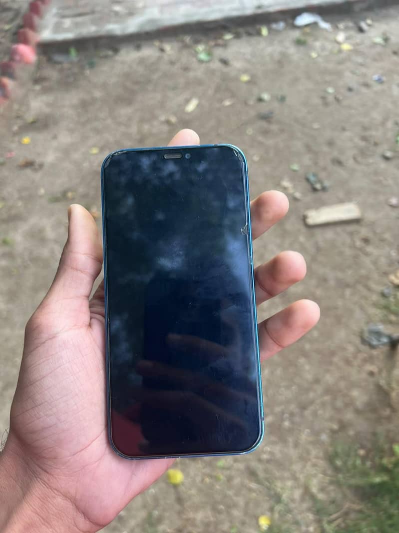 Apple iPhone 12 1