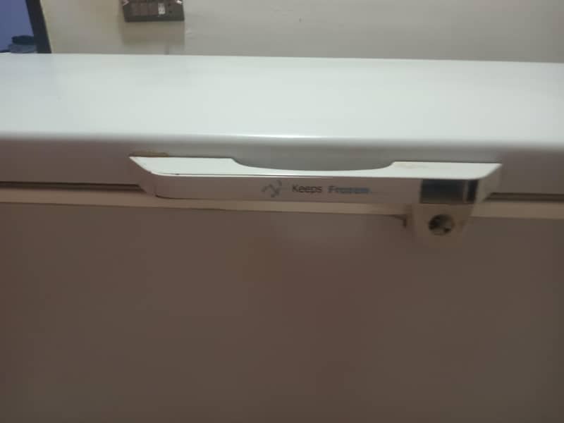 MY DEEP FREEZER 0