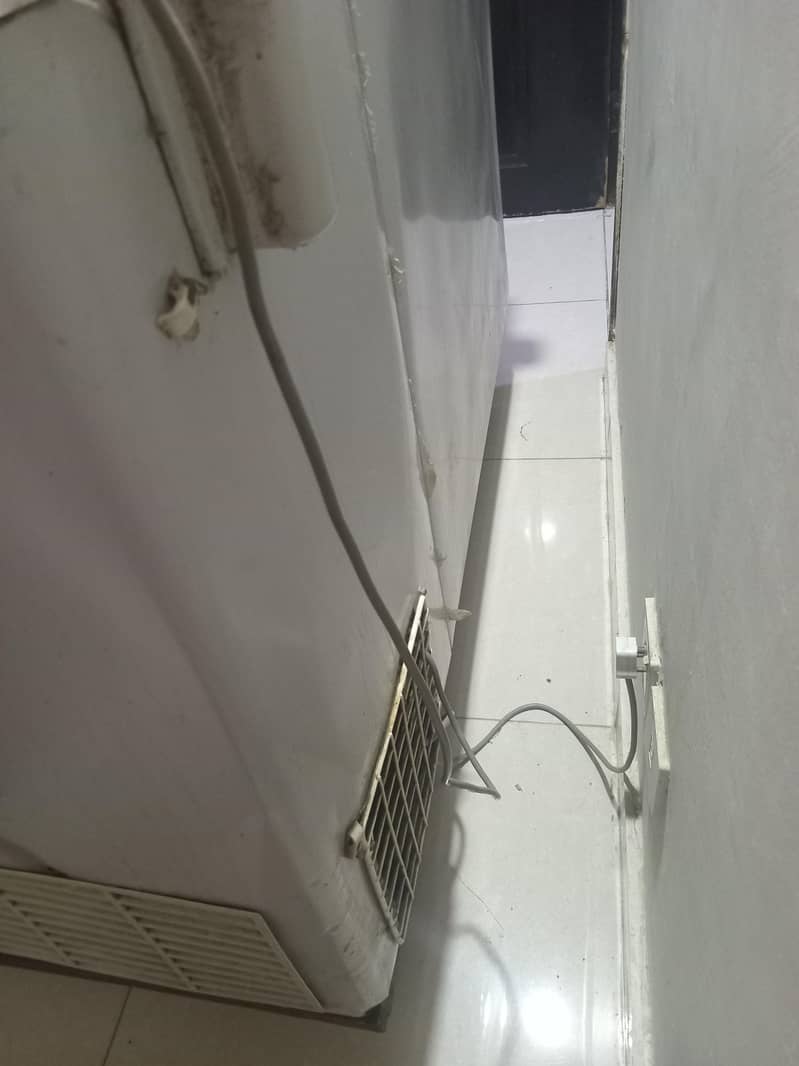 MY DEEP FREEZER 1