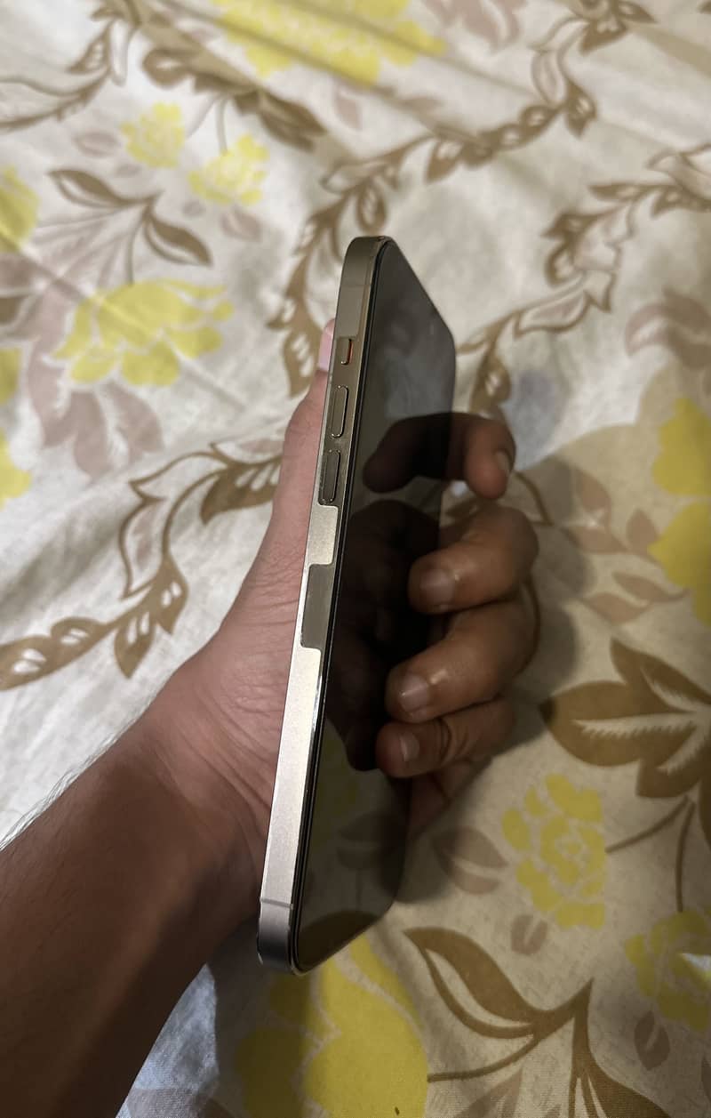 Apple iPhone 14 Pro Max 2