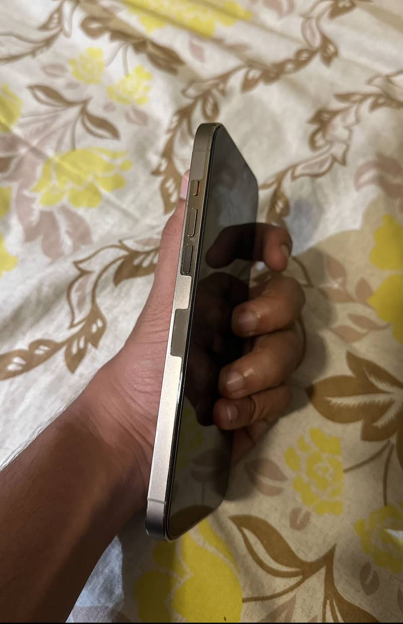 Apple iPhone 14 Pro Max 4