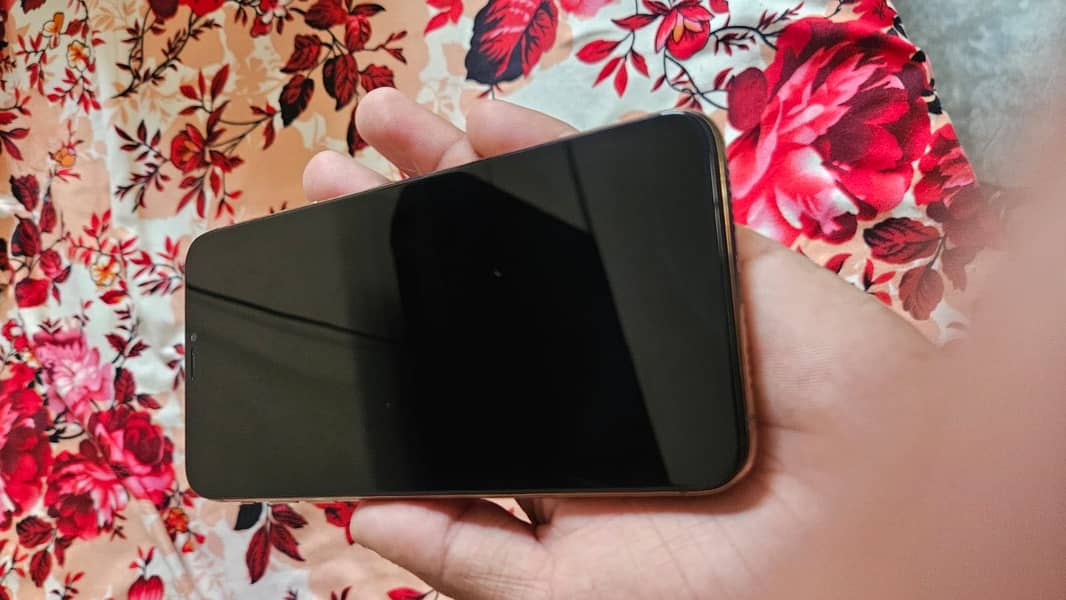 Apple iPhone XS MaX 6