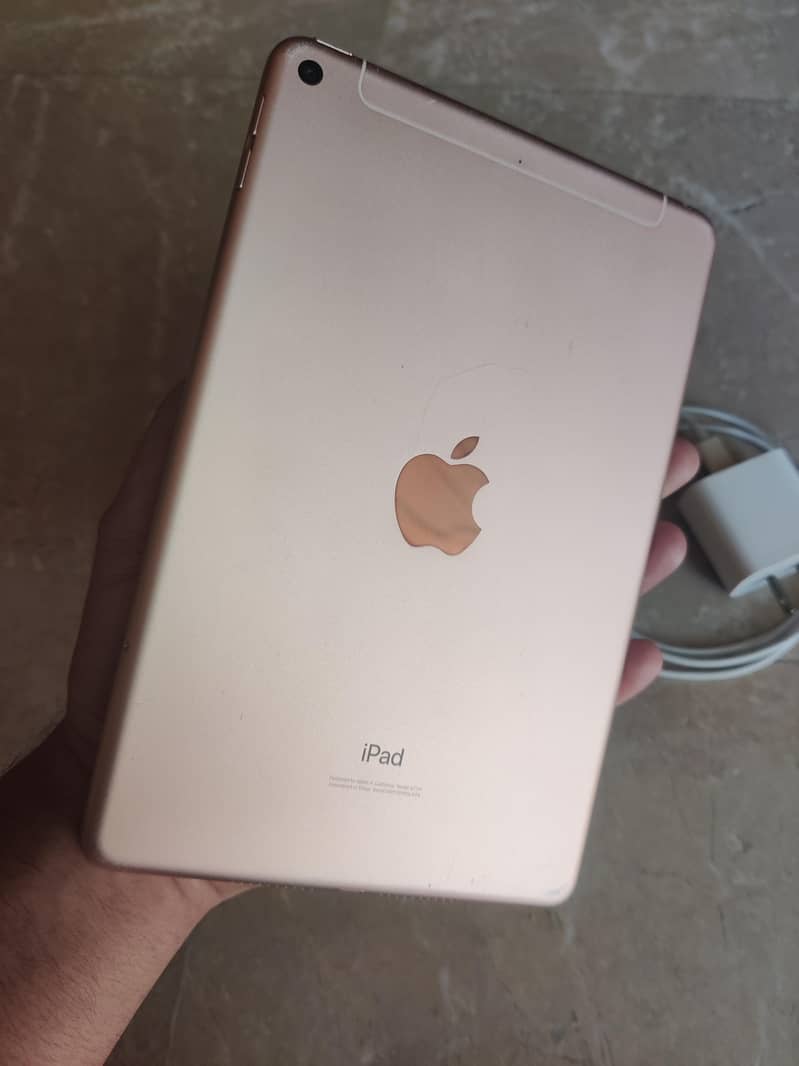 Ipad Mini 5 64gb Sim Edition 4