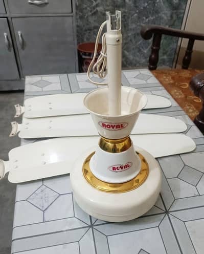 ceiling fan Royal fan