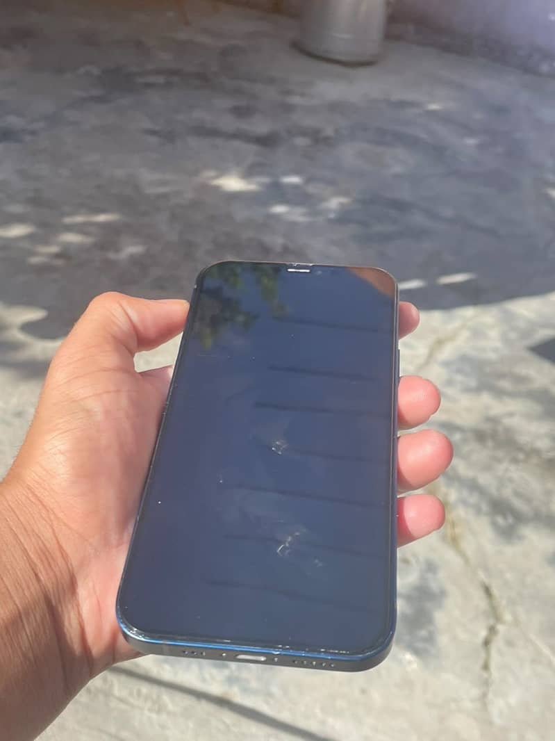 Apple iPhone 12 1
