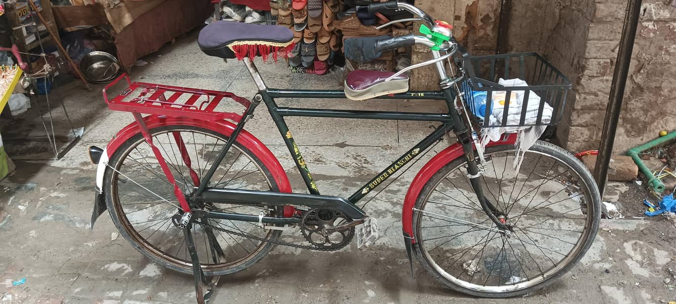 cycle medium 24 size 0