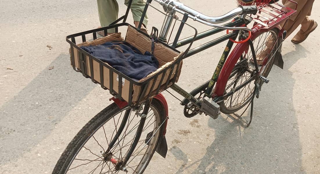 cycle medium 24 size 3