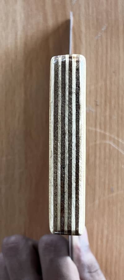 SS Steel Scraper
