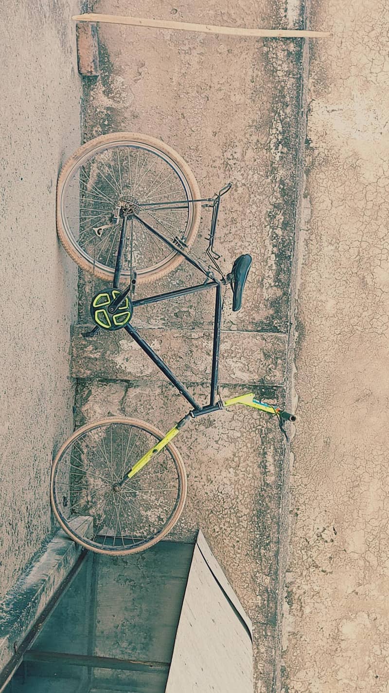 Cycle (phonix) 1