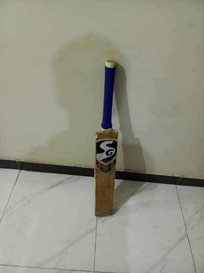 cricket bat