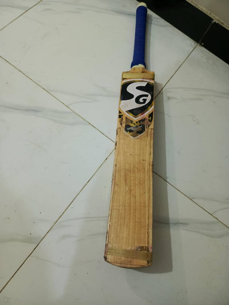 cricket bat 1