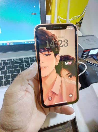 Apple iPhone XR Convert 17 Pro