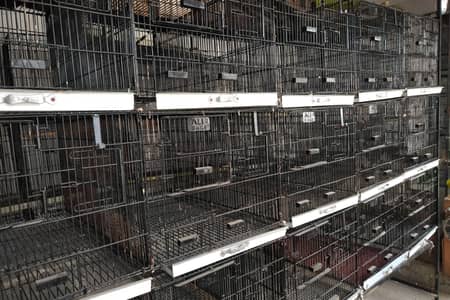 folding cages for sale