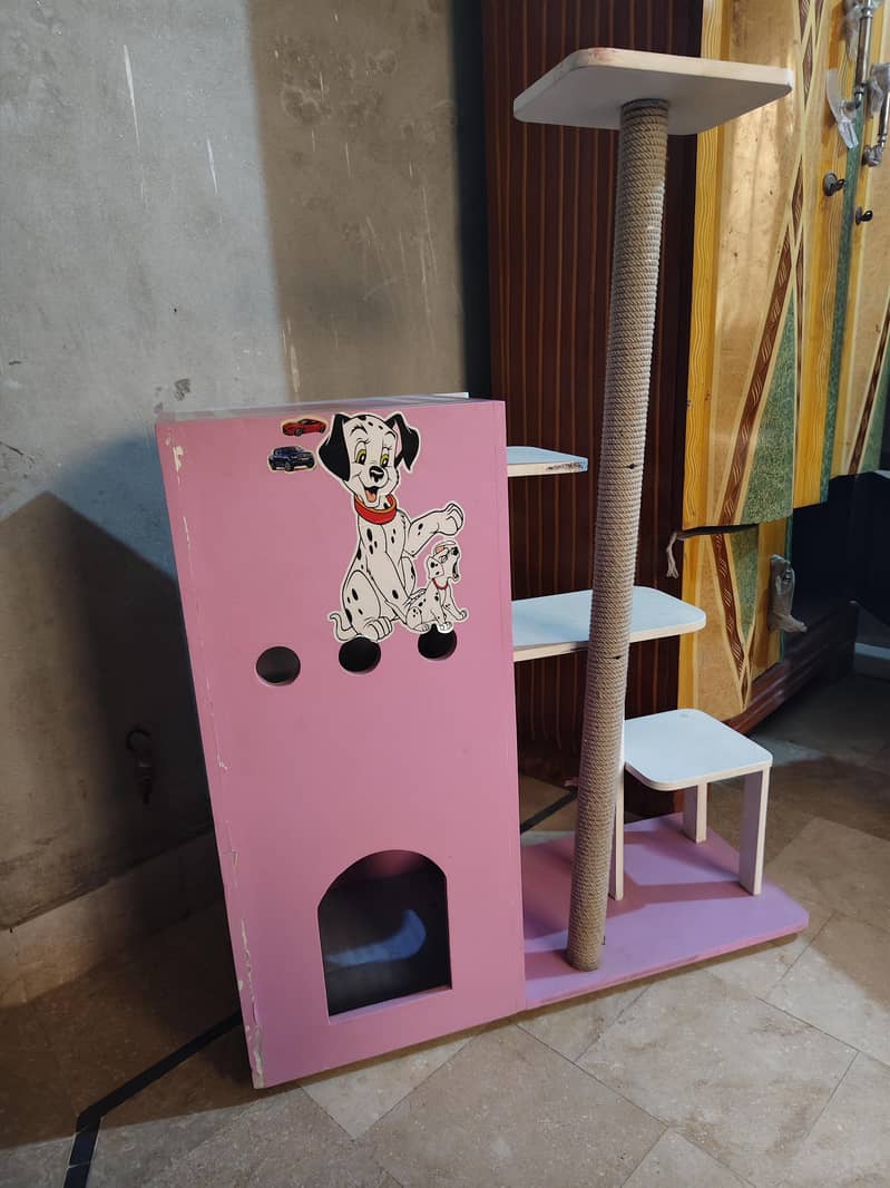 Cat House 1
