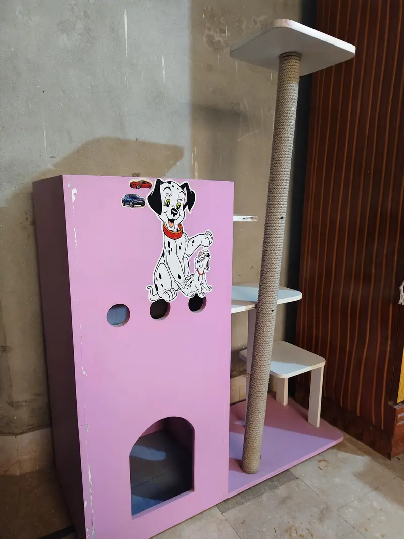 Cat House — photo 3