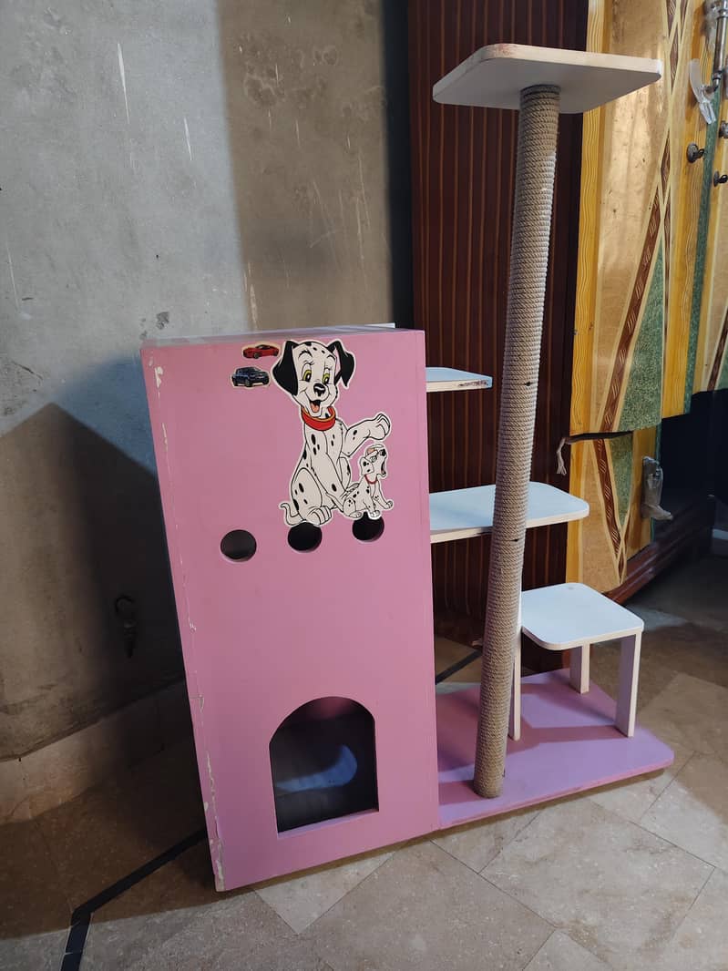 Cat House 3