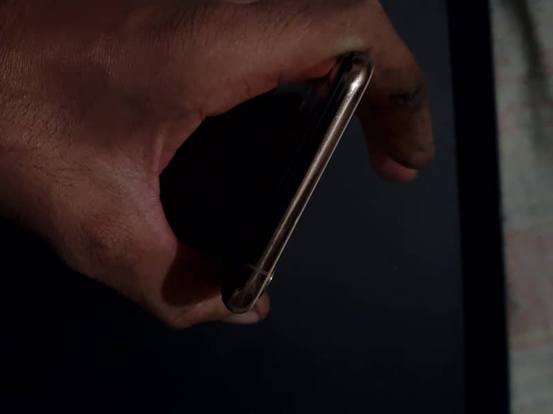 Apple iPhone XS Max 1
