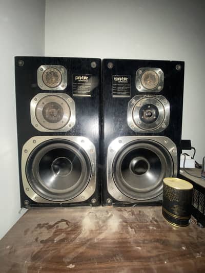 Pioneer sound system
