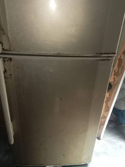 Ful size fridge digital equalizer