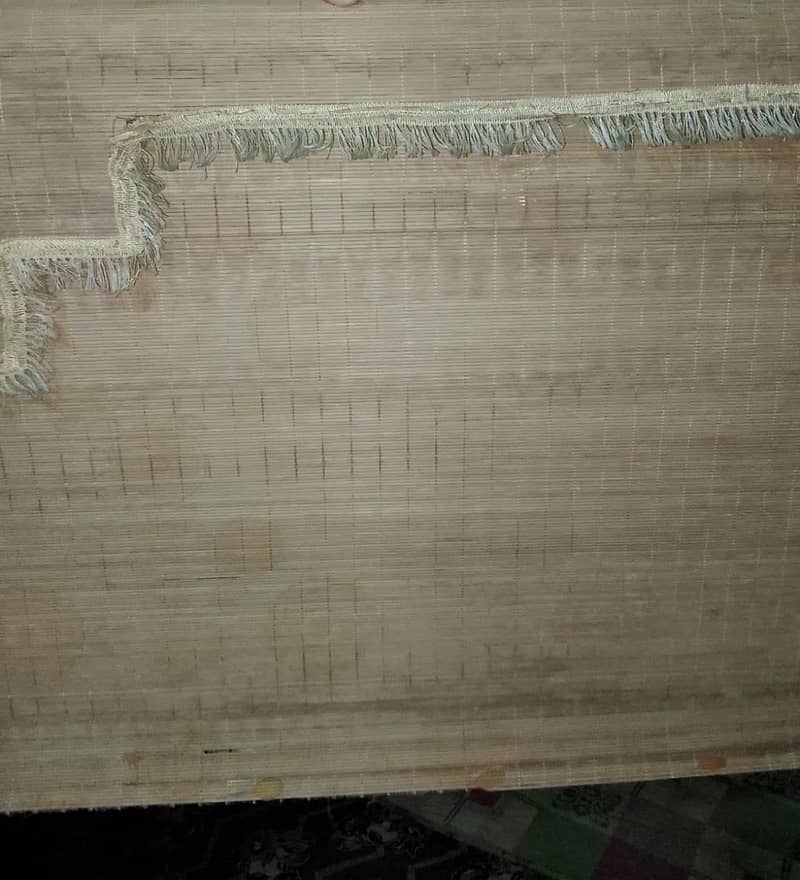 window wall jatayi 1