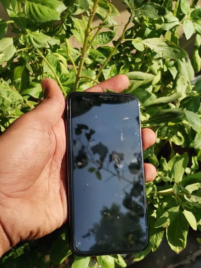 Apple iPhone X