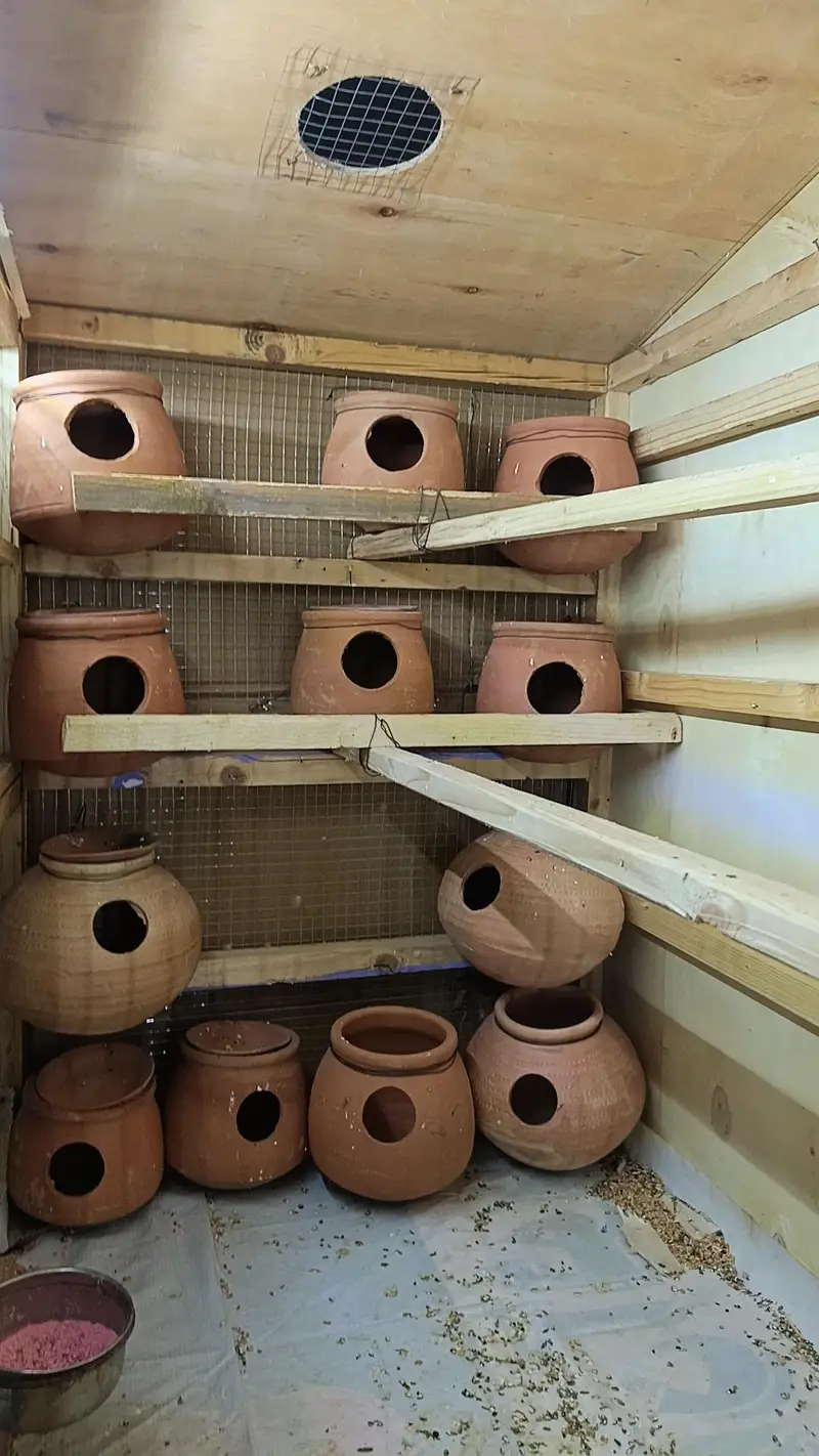 Big size Cage for Parrots budgie colony and hens — photo 3