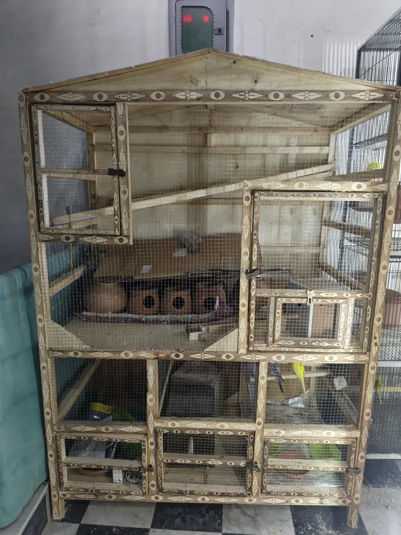 Big size Cage for Parrots budgie colony and hens — photo 5