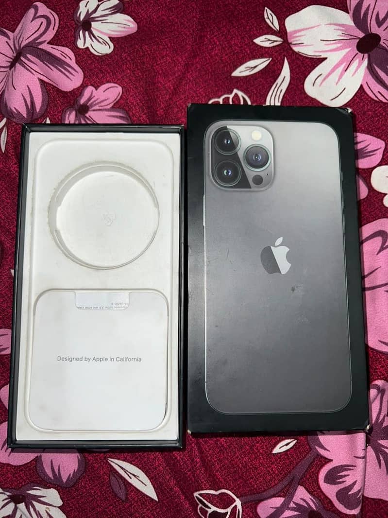 Apple iPhone 13 Pro Max 11