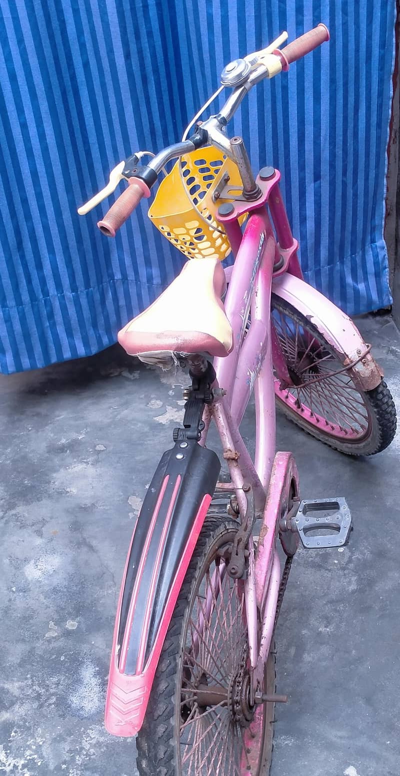 bicycle 2