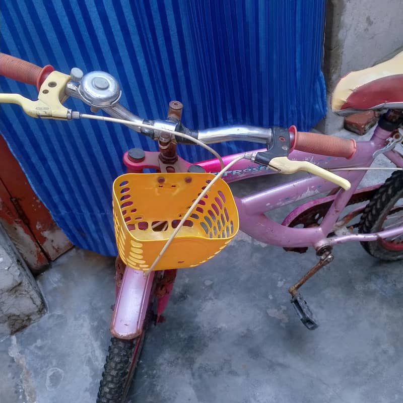bicycle 5