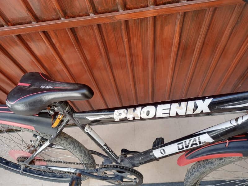 bicycle 2