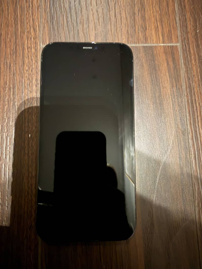 Apple iPhone 12 Pro Max 1