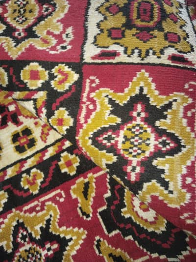 best quality fresh condition