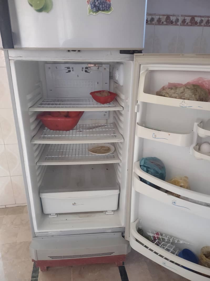 pel refrigerator 1