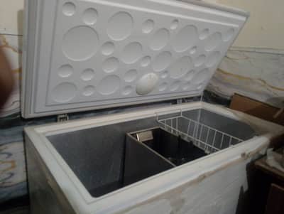 New Freezer Available