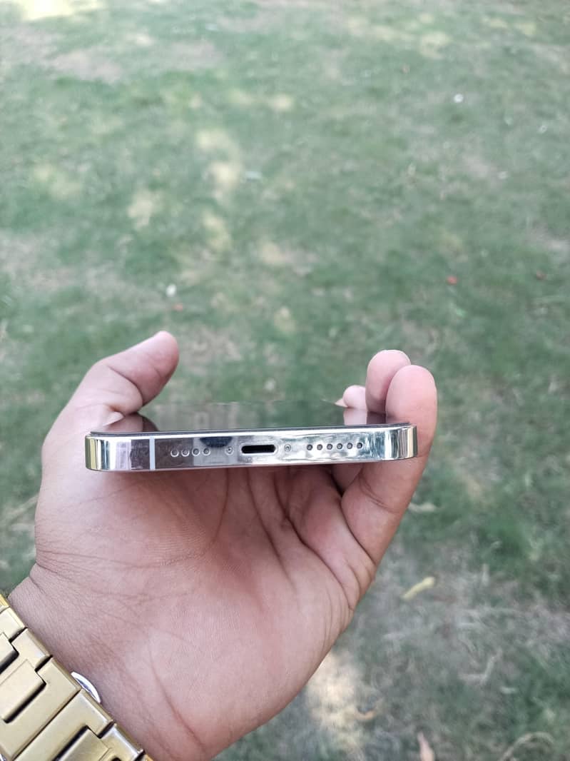 Apple iPhone 13 Pro Max 1