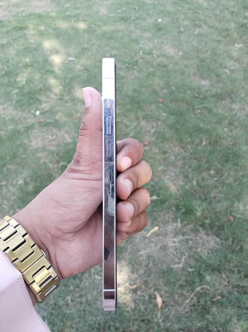 Apple iPhone 13 Pro Max 3