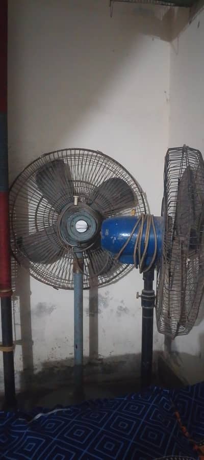 2 padistol fan