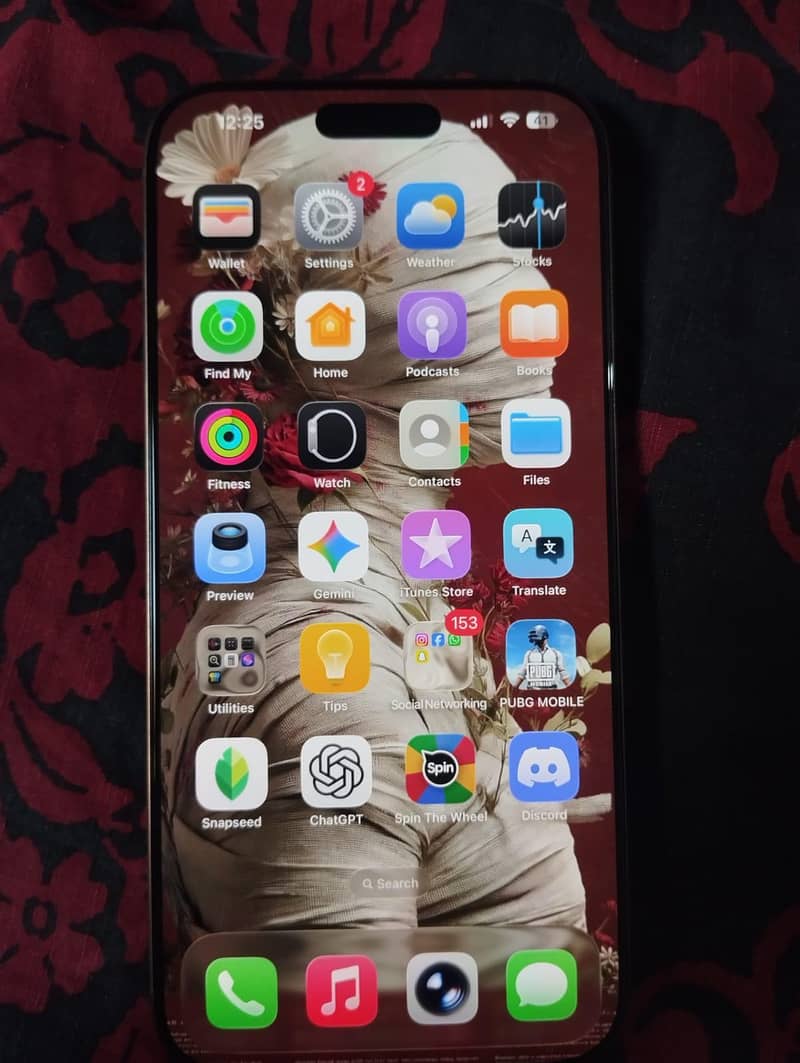 Apple iPhone 16 Pro 2