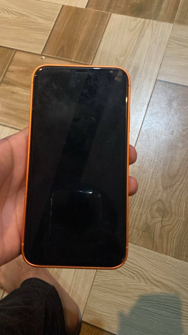 Apple iPhone 11 0