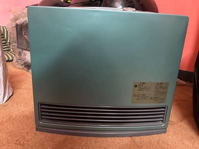 Rinnai Electric Gas Heater