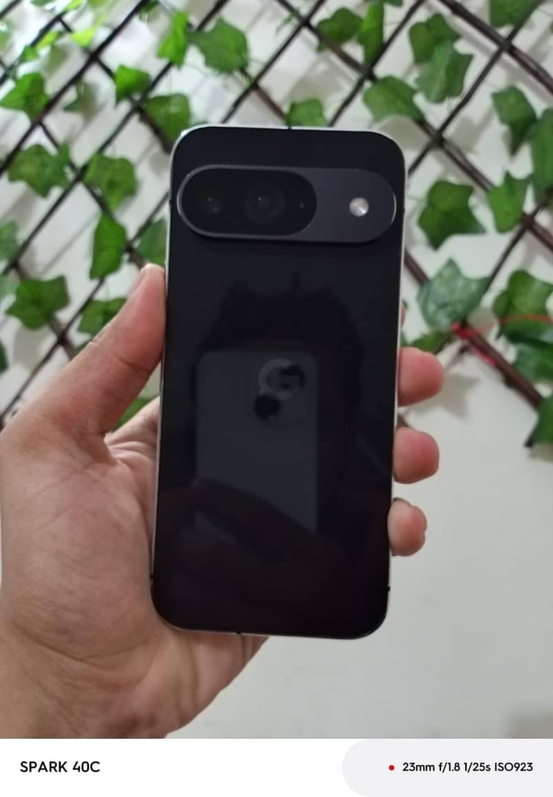 Google Pixel 9 1