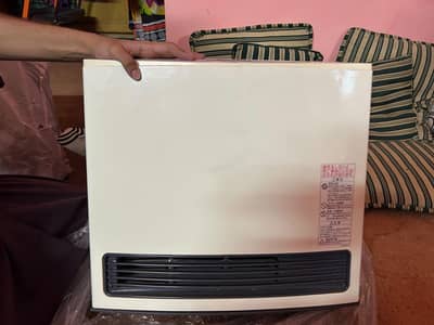 Rinnai Electric Gas Heater