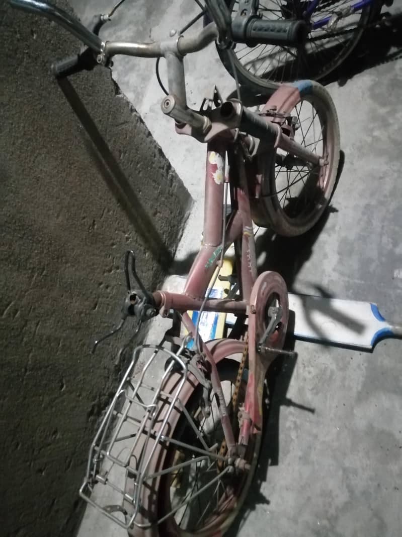 cycle 1