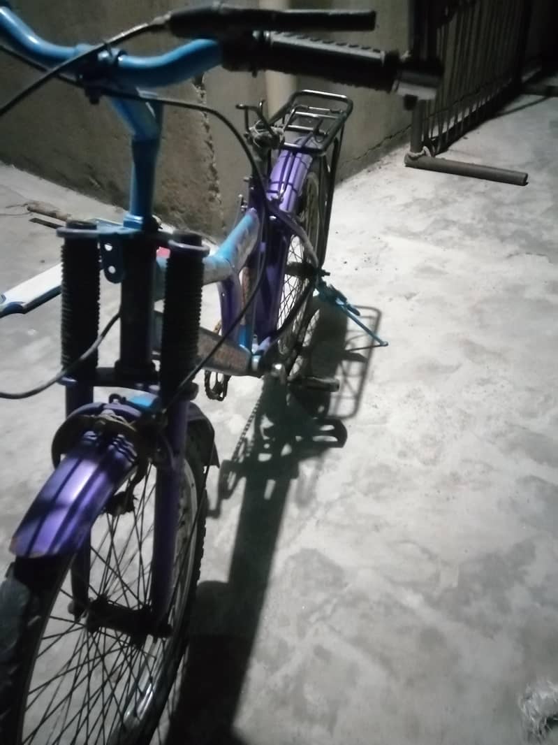 Cycle 1