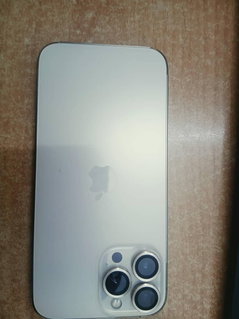 Apple iPhone 13 Pro Max 0