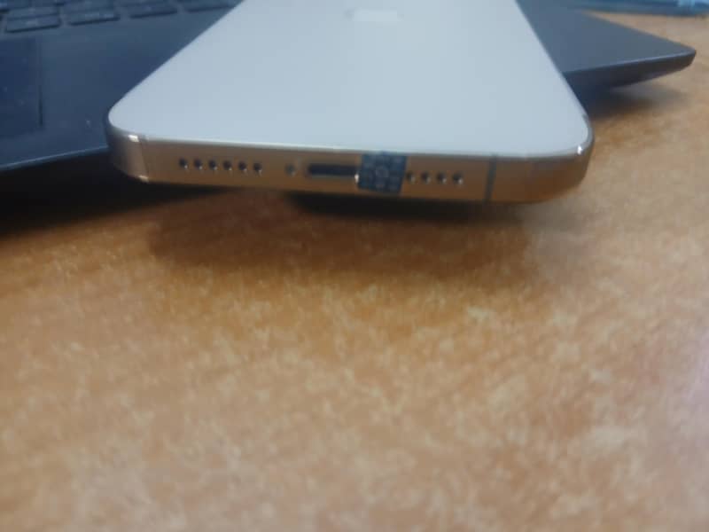 Apple iPhone 13 Pro Max 2