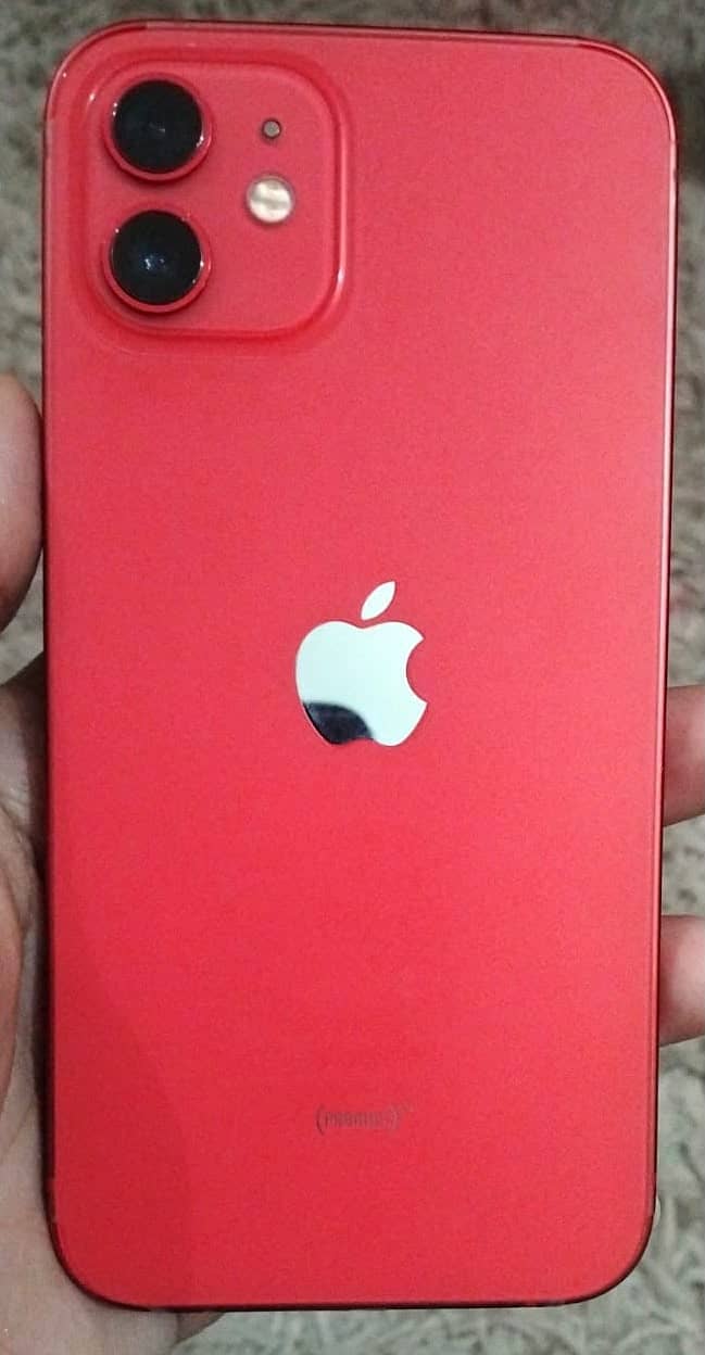 Apple iPhone 12 1
